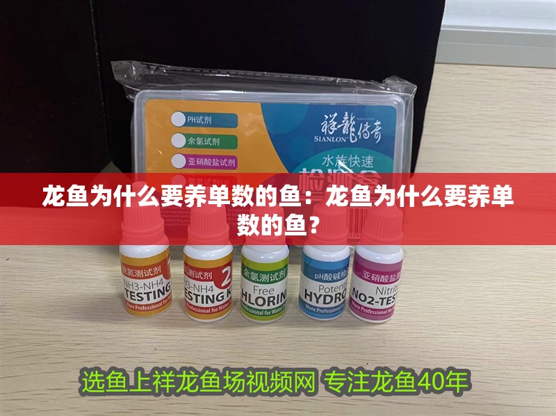 龍魚為什么要養單數的魚：龍魚為什么要養單數的魚？