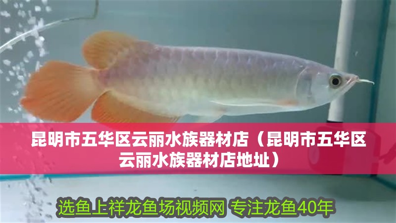 昆明市五華區云麗水族器材店(昆明市五華區云麗水族器材店地址) 全國水族館企業名錄 第2張 昆明市五華區云麗水族器材店(昆明市五華區云麗水族器材店地址) 昆明市五華區云麗水族器材店(昆明市五華區云麗水族器材店地址) 全國水族館企業名錄 第2張