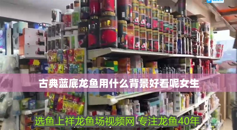 古典藍(lán)底龍魚用什么背景好看呢女生
