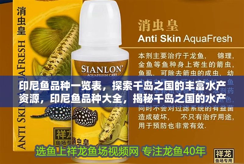 印尼魚品種一覽表，探索千島之國的豐富水產資源，印尼魚品種大全，揭秘千島之國的水產寶藏