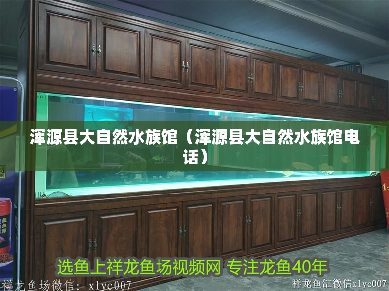 渾源縣大自然水族館（渾源縣大自然水族館電話）