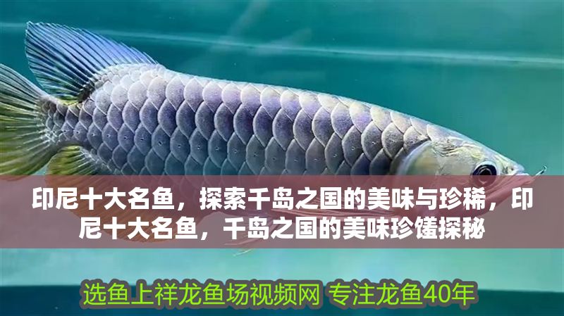 印尼十大名魚，探索千島之國的美味與珍稀，印尼十大名魚，千島之國的美味珍饈探秘