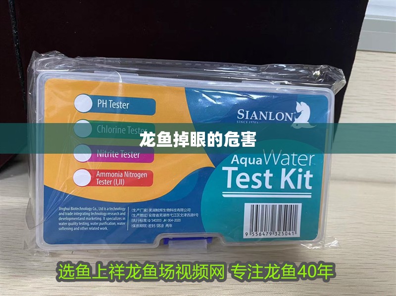龍魚掉眼的危害 龍魚掉眼的危害 龍魚百科 第2張