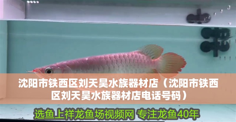 沈陽市鐵西區劉天昊水族器材店（沈陽市鐵西區劉天昊水族器材店電話號碼）
