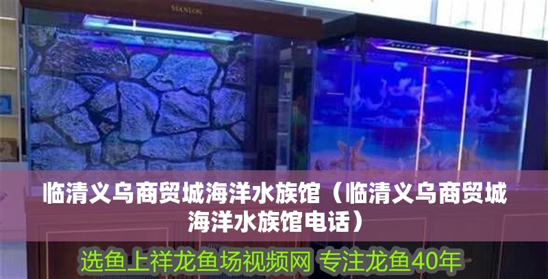 臨清義烏商貿城海洋水族館（臨清義烏商貿城海洋水族館電話）