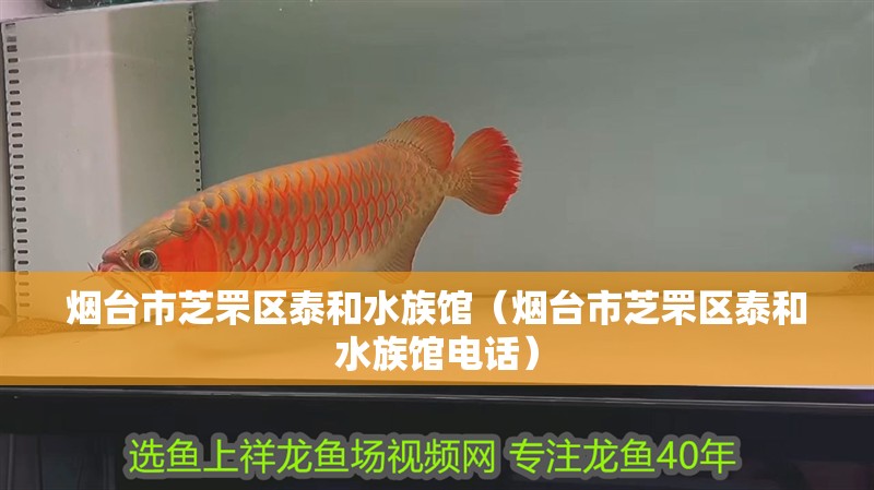 煙臺(tái)市芝罘區(qū)泰和水族館（煙臺(tái)市芝罘區(qū)泰和水族館電話(huà)） 煙臺(tái)市芝罘區(qū)泰和水族館（煙臺(tái)市芝罘區(qū)泰和水族館電話(huà)） 全國(guó)水族館企業(yè)名錄 第2張