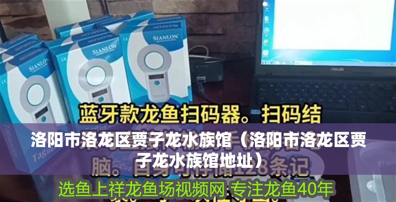 洛陽市洛龍區賈子龍水族館（洛陽市洛龍區賈子龍水族館地址）