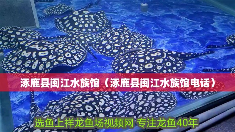 涿鹿縣閩江水族館（涿鹿縣閩江水族館電話）