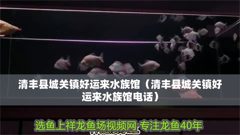 清豐縣城關(guān)鎮(zhèn)好運來水族館（清豐縣城關(guān)鎮(zhèn)好運來水族館電話）