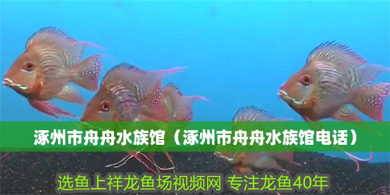 涿州市舟舟水族館（涿州市舟舟水族館電話）
