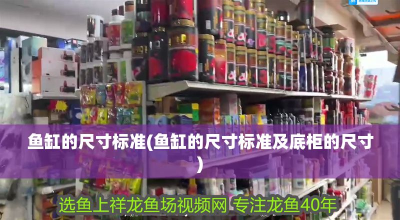 魚缸的尺寸標(biāo)準(zhǔn)(魚缸的尺寸標(biāo)準(zhǔn)及底柜的尺寸)