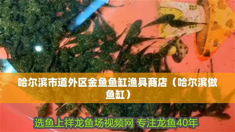 哈爾濱市道外區金魚魚缸漁具商店（哈爾濱做魚缸） 哈爾濱市道外區金魚魚缸漁具商店（哈爾濱做魚缸） 全國水族館企業名錄 第2張