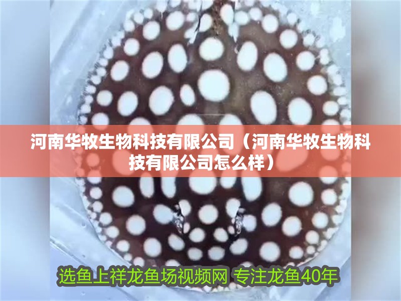 河南華牧生物科技有限公司（河南華牧生物科技有限公司怎么樣） 河南華牧生物科技有限公司（河南華牧生物科技有限公司怎么樣） 全國水族館企業(yè)名錄 第2張