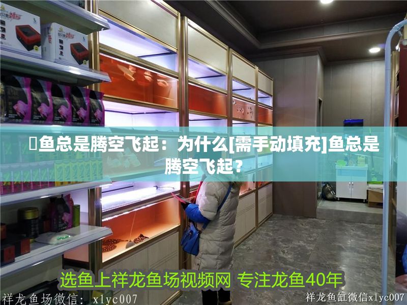 魟魚總是騰空飛起：為什么[需手動填充]魚總是騰空飛起？