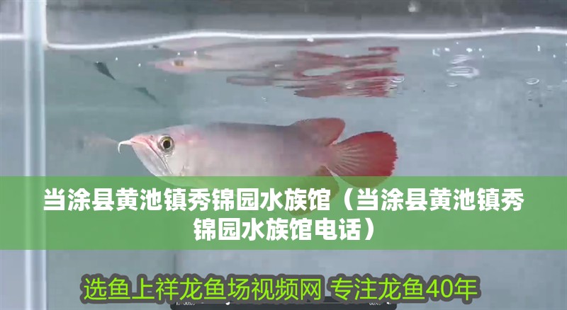 當涂縣黃池鎮秀錦園水族館（當涂縣黃池鎮秀錦園水族館電話）