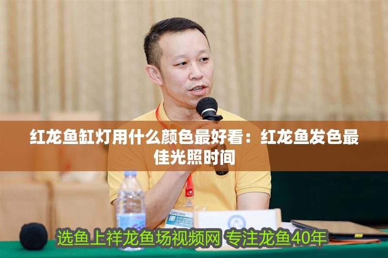 紅龍魚缸燈用什么顏色最好看：紅龍魚發色最佳光照時間
