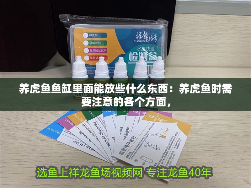 印尼龍魚Suwana是雜牌子嗎？深度解析其市場定位與品質真相，印尼龍魚Suwana是雜牌嗎？揭秘其市場定位與真實品質