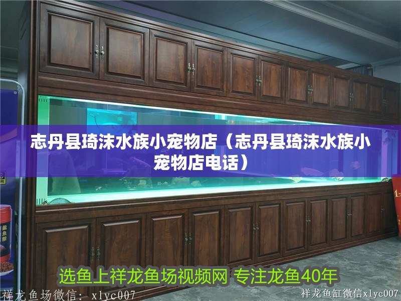 志丹縣琦沫水族小寵物店（志丹縣琦沫水族小寵物店電話）