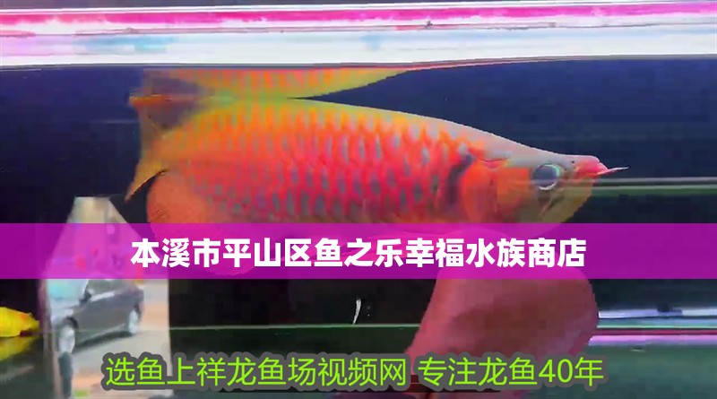 本溪市平山區(qū)魚(yú)之樂(lè)幸福水族商店