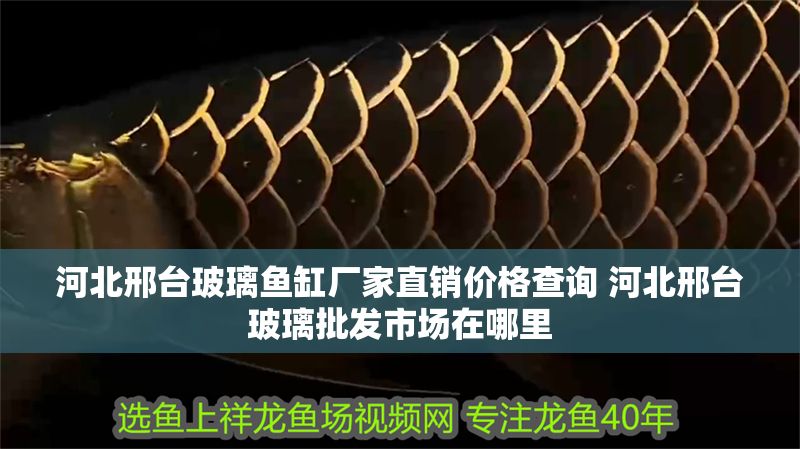 河北邢臺玻璃魚缸廠家直銷價格查詢 河北邢臺玻璃批發市場在哪里 河北邢臺玻璃魚缸廠家直銷價格查詢 河北邢臺玻璃批發市場在哪里 豬鼻龜百科 第1張