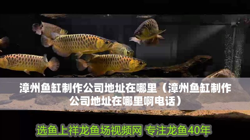 漳州魚缸制作公司地址在哪里（漳州魚缸制作公司地址在哪里啊電話） 漳州魚缸制作公司地址在哪里（漳州魚缸制作公司地址在哪里啊電話） 豬鼻龜百科 第1張
