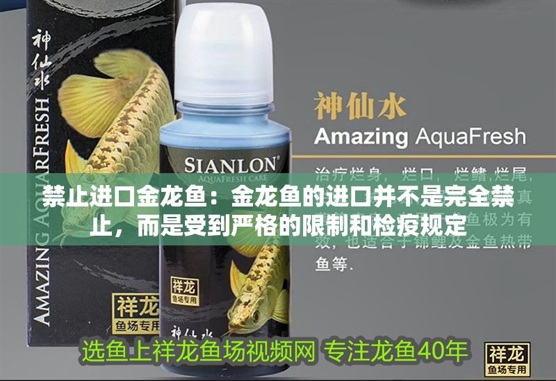 禁止進(jìn)口金龍魚(yú)：金龍魚(yú)的進(jìn)口并不是完全禁止，而是受到嚴(yán)格的限制和檢疫規(guī)定