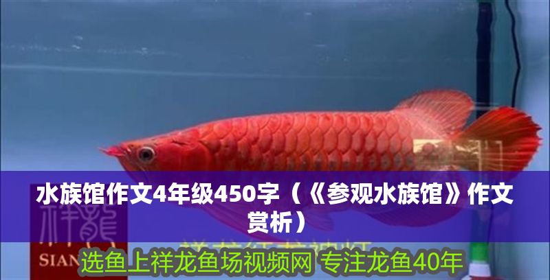 水族館作文4年級(jí)450字（《參觀水族館》作文賞析）
