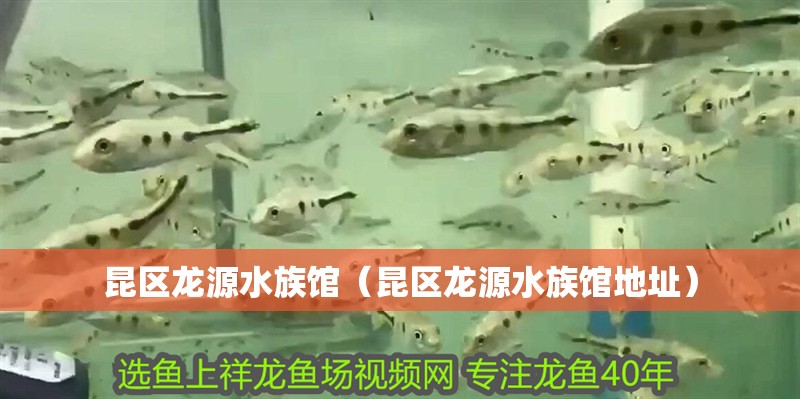 昆區(qū)龍源水族館（昆區(qū)龍源水族館地址）