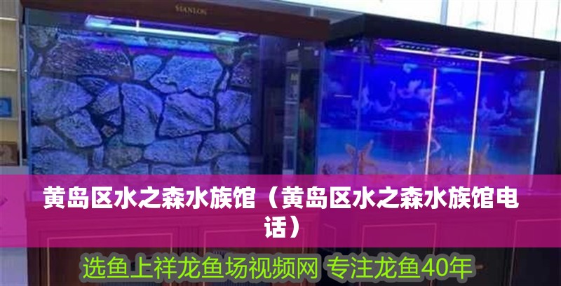 黃島區水之森水族館（黃島區水之森水族館電話）