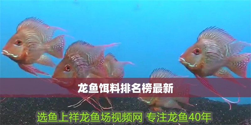 龍魚餌料排名榜最新