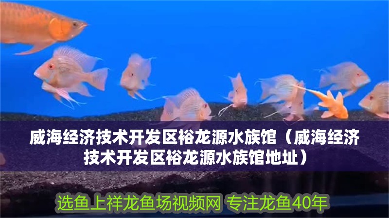 威海經濟技術開發區裕龍源水族館（威海經濟技術開發區裕龍源水族館地址）
