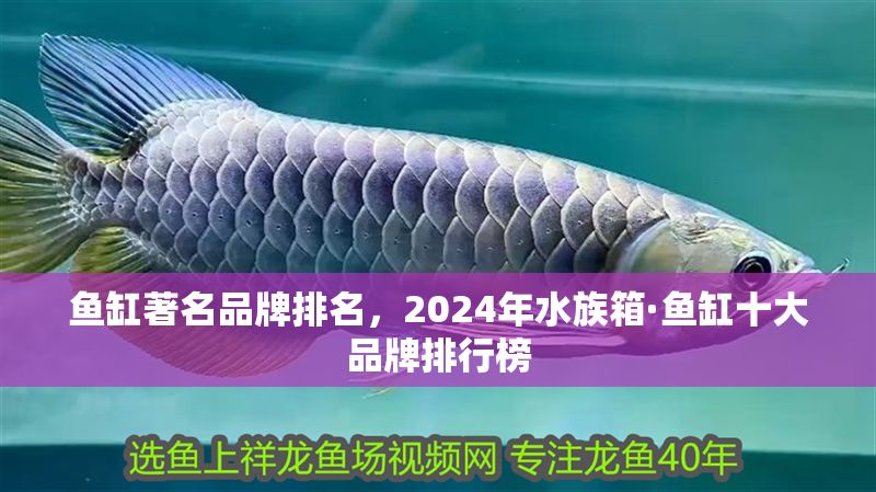 魚缸著名品牌排名，2024年水族箱·魚缸十大品牌排行榜 魚缸著名品牌排名，2024年水族箱·魚缸十大品牌排行榜 魚缸百科 第2張