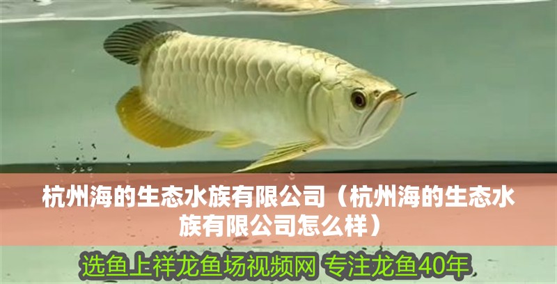 杭州海的生態水族有限公司（杭州海的生態水族有限公司怎么樣）