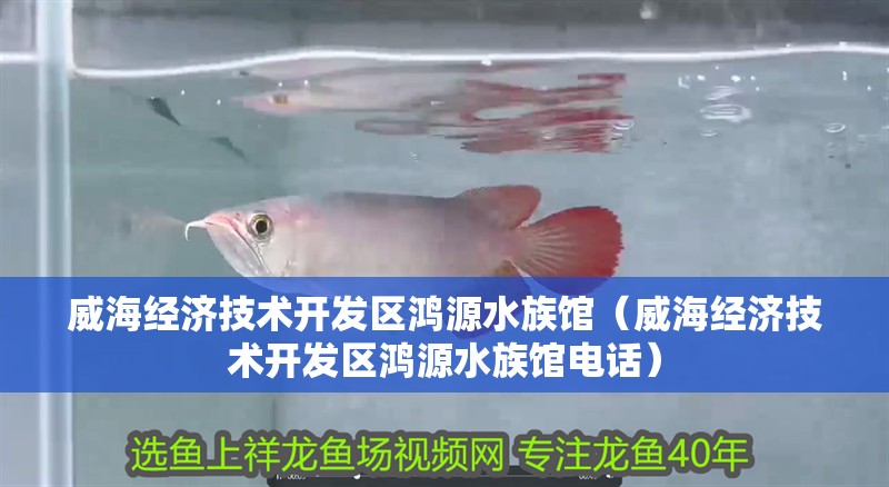 威海經(jīng)濟(jì)技術(shù)開發(fā)區(qū)鴻源水族館（威海經(jīng)濟(jì)技術(shù)開發(fā)區(qū)鴻源水族館電話） 威海經(jīng)濟(jì)技術(shù)開發(fā)區(qū)鴻源水族館（威海經(jīng)濟(jì)技術(shù)開發(fā)區(qū)鴻源水族館電話） 全國水族館企業(yè)名錄 第2張