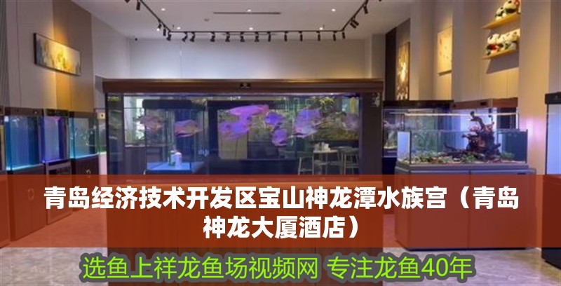 青島經濟技術開發區寶山神龍潭水族宮（青島神龍大廈酒店）