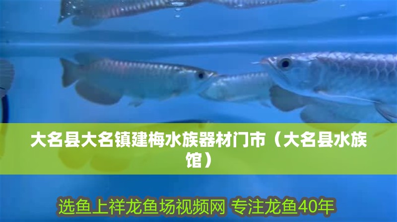 大名縣大名鎮建梅水族器材門市（大名縣水族館）