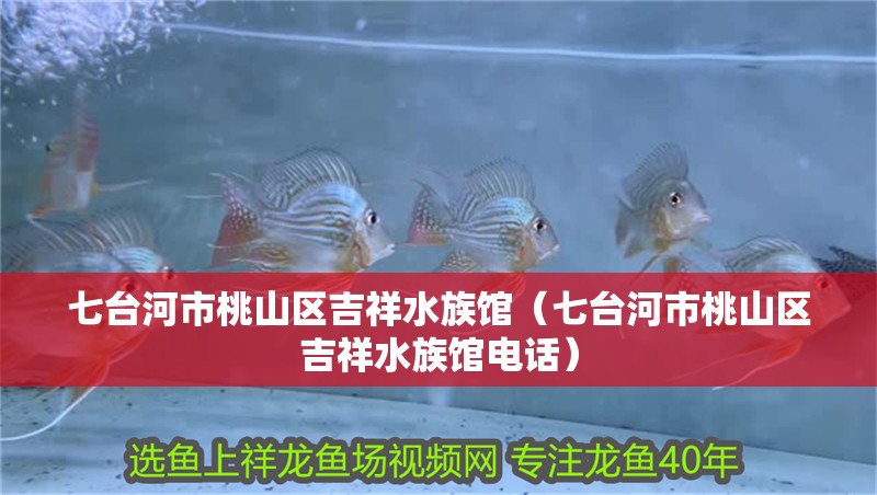 七臺河市桃山區(qū)吉祥水族館（七臺河市桃山區(qū)吉祥水族館電話）