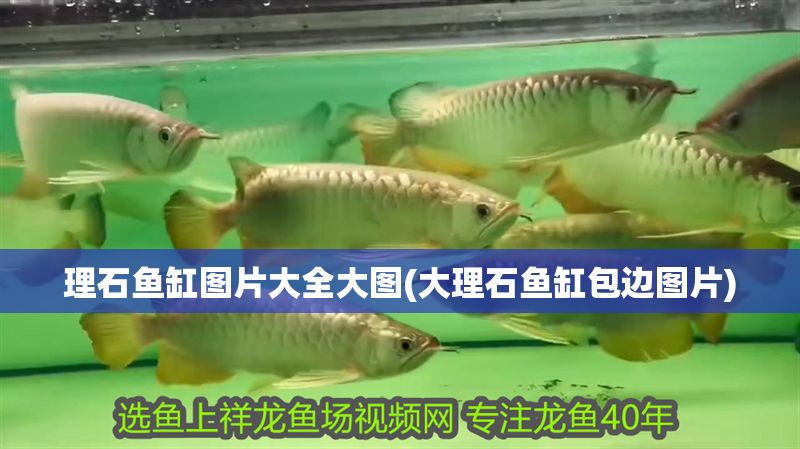 理石魚缸圖片大全大圖(大理石魚缸包邊圖片)