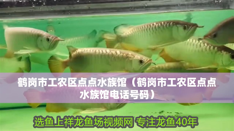 鶴崗市工農區點點水族館（鶴崗市工農區點點水族館電話號碼）