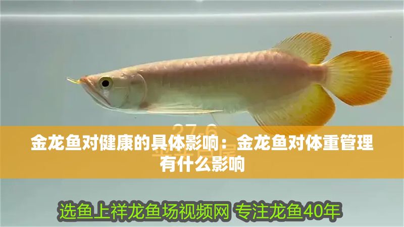 金龍魚對健康的具體影響:金龍魚對體重管理有什么影響 金龍魚百科 第6張 金龍魚對健康的具體影響:金龍魚對體重管理有什么影響 金龍魚對健康的具體影響:金龍魚對體重管理有什么影響 金龍魚百科 第6張