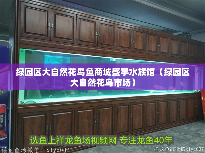 綠園區(qū)大自然花鳥魚商城盛宇水族館（綠園區(qū)大自然花鳥市場(chǎng)） 綠園區(qū)大自然花鳥魚商城盛宇水族館（綠園區(qū)大自然花鳥市場(chǎng)） 全國(guó)水族館企業(yè)名錄 第2張