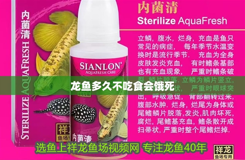 龍魚多久不吃食會(huì)餓死