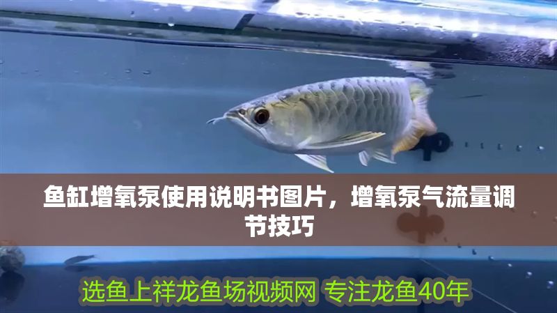 魚缸增氧泵使用說明書圖片，增氧泵氣流量調節技巧
