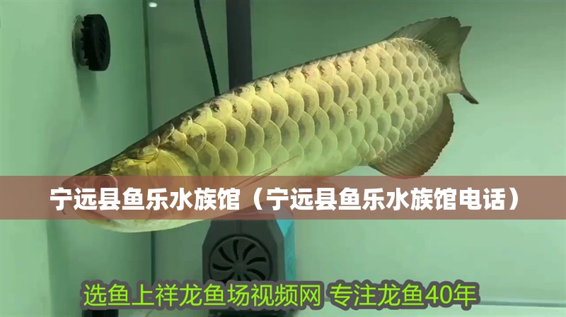 寧遠縣魚樂水族館（寧遠縣魚樂水族館電話）