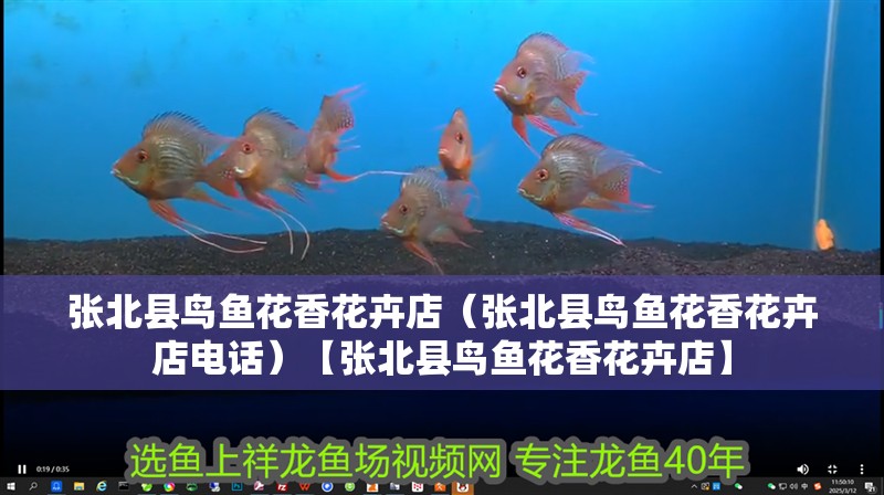 張北縣鳥(niǎo)魚(yú)花香花卉店（張北縣鳥(niǎo)魚(yú)花香花卉店電話）【張北縣鳥(niǎo)魚(yú)花香花卉店】