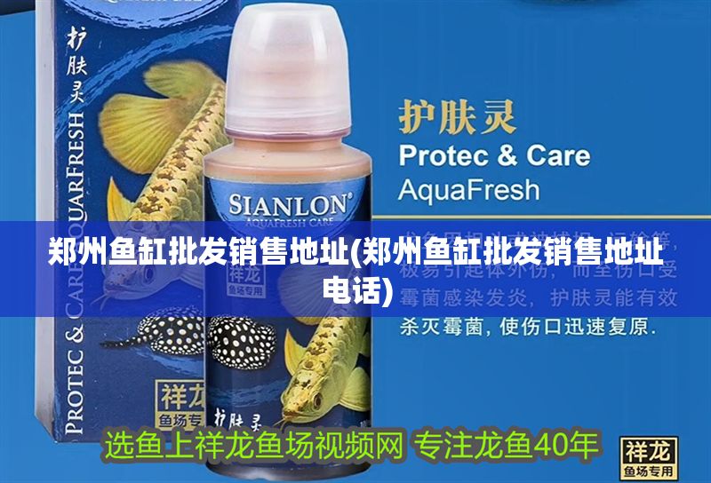 鄭州魚缸批發銷售地址(鄭州魚缸批發銷售地址電話)