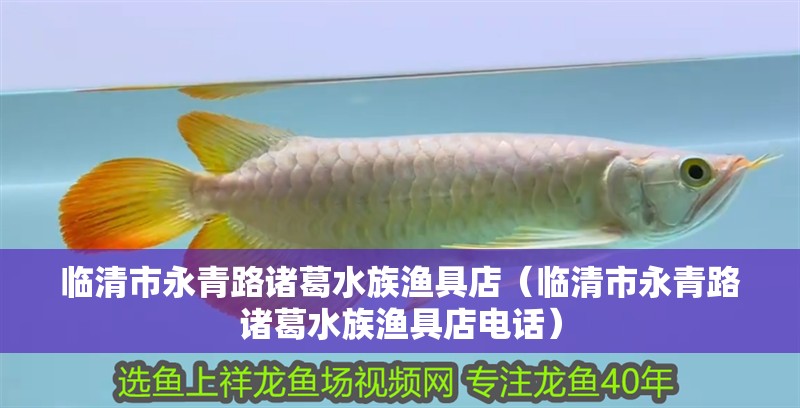 臨清市永青路諸葛水族漁具店（臨清市永青路諸葛水族漁具店電話）