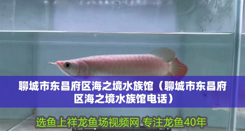 聊城市東昌府區海之境水族館（聊城市東昌府區海之境水族館電話）
