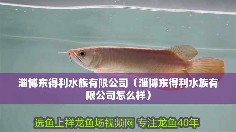 淄博東得利水族有限公司（淄博東得利水族有限公司怎么樣）