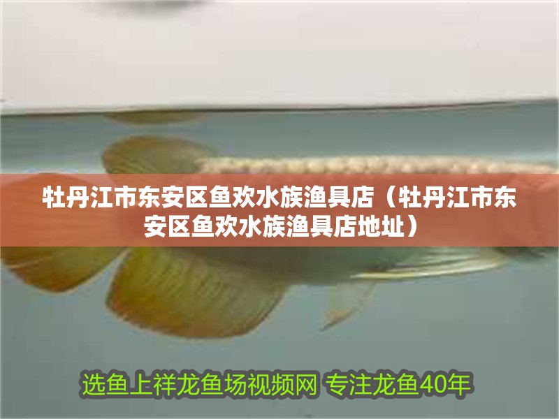 牡丹江市東安區魚歡水族漁具店（牡丹江市東安區魚歡水族漁具店地址）